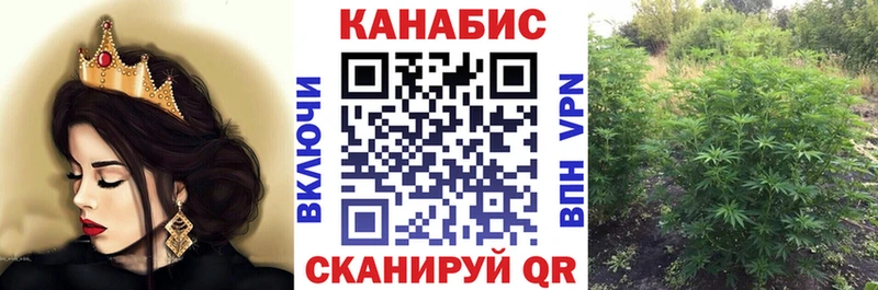 Где можно купить наркотики Вольск COCAIN  Псилоцибиновые грибы  Марихуана  ГАШИШ 