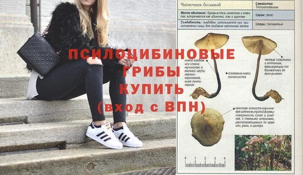 ешки Березники