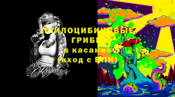 ешки Березники