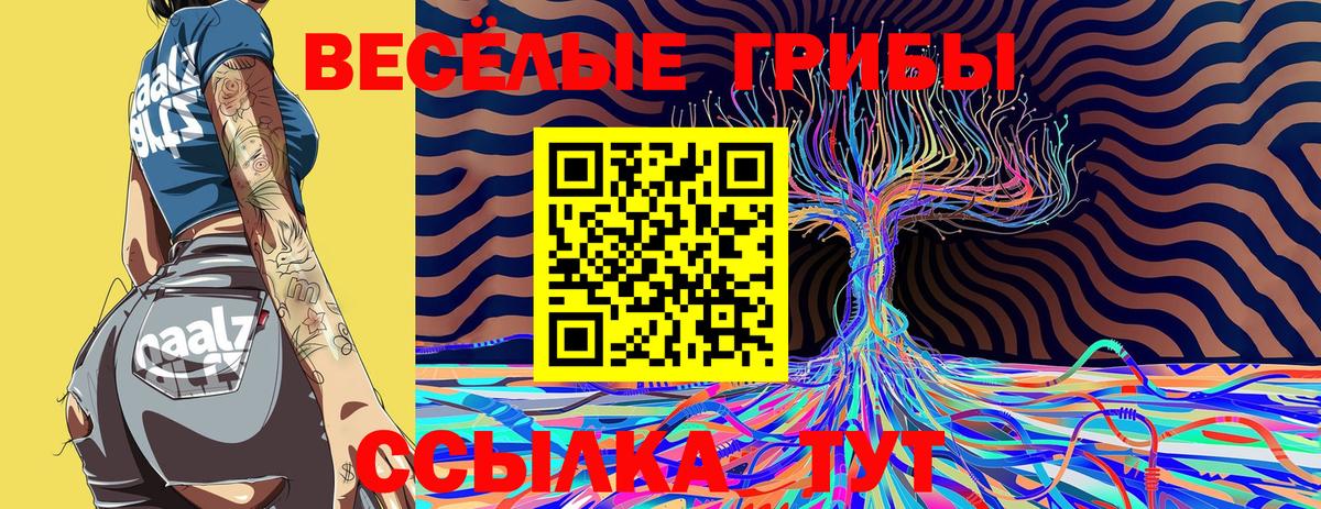 наркошоп  Вход с VPN  Вольск  Галлюциногенные грибы прущие грибы 