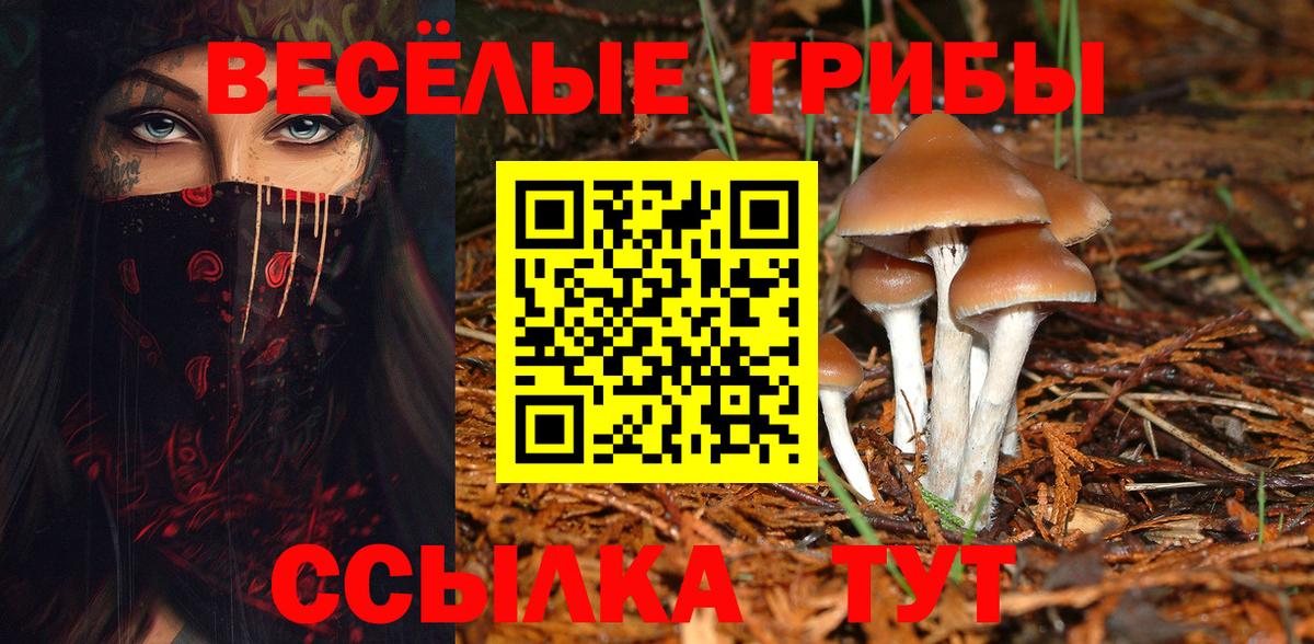 Псилоцибиновые грибы мицелий  как найти закладки  Вольск  Галлюциногенные грибы ЛСД 