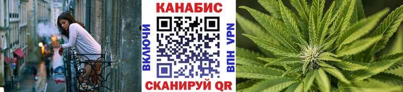 Бошки марихуана планчик  где продают наркотики  Вольск 